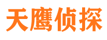 桃城市侦探调查公司